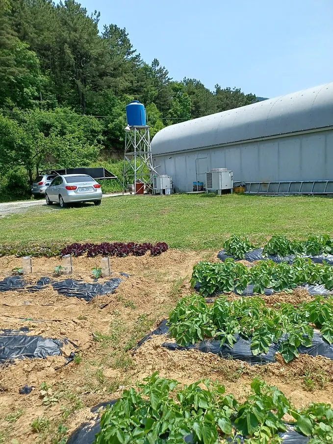 Reposted) Mushroom Farmhouse and Country Home for Sale in Changnyeong, Gyeongsangnam-do—Recommended as a Second Career After Retirement photo 3