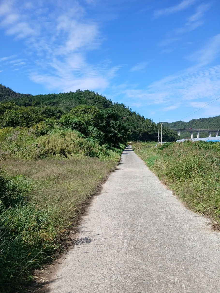 전남광주통합특별시 무안군 무안읍 토지가격 매매, 대지·잡종지 2,881㎡ 사진 4