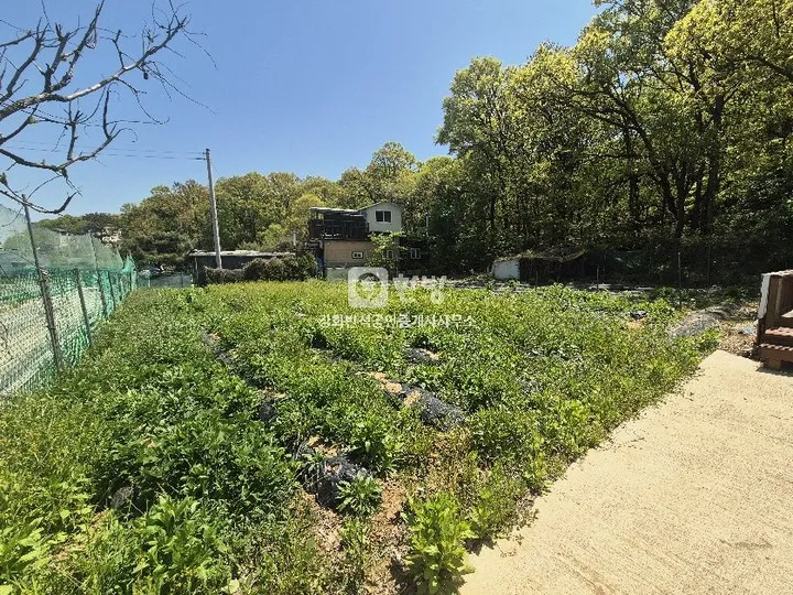 인천 강화군 교동면 봉소리 전원주택 매매, 토지 481㎡ 사진 4