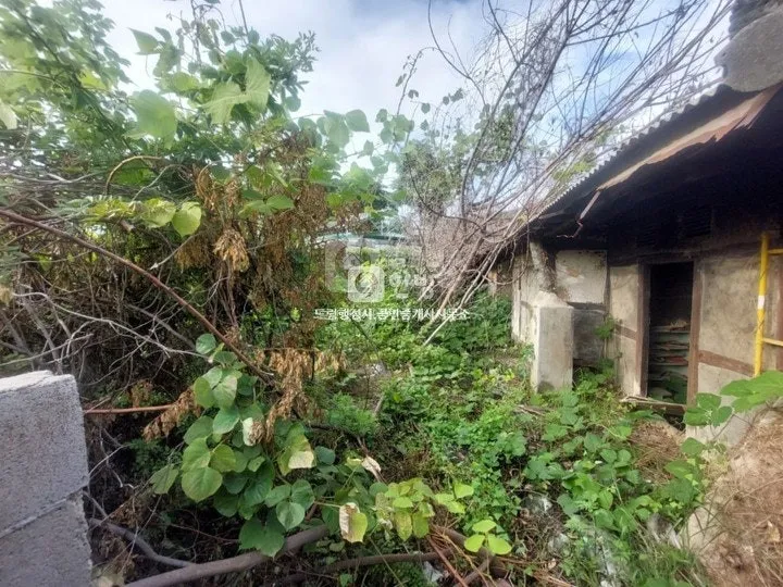 Farmhouse for Sale in Sora-myeon, Yeosu, Jeollanam-do, Requiring Remodeling photo 4