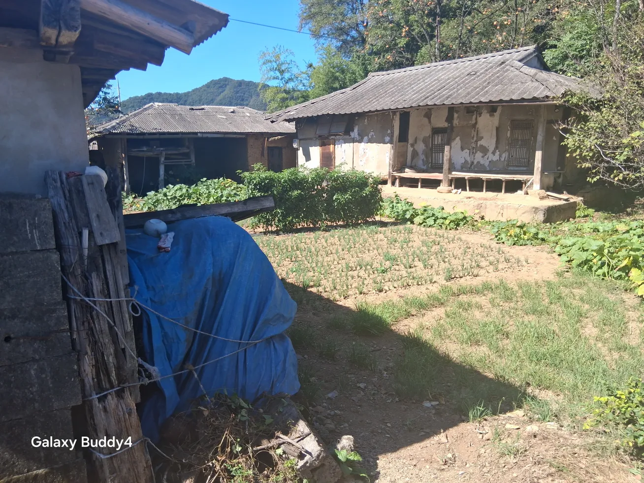 Farmhouse for Sale in Annam-myeon, Okcheon, Chungcheongbuk-do, 2 Houses and 598㎡ of Land photo 7
