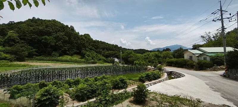 강원도 횡성 전원주택 매매, 대지 112평·썬룸 포함 사진 4