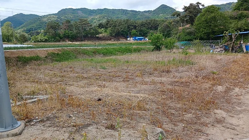 Rural House for Sale in Yeongju, North Gyeongsang Province, with Approximately 320 Pyeong of Land and Fields photo 2