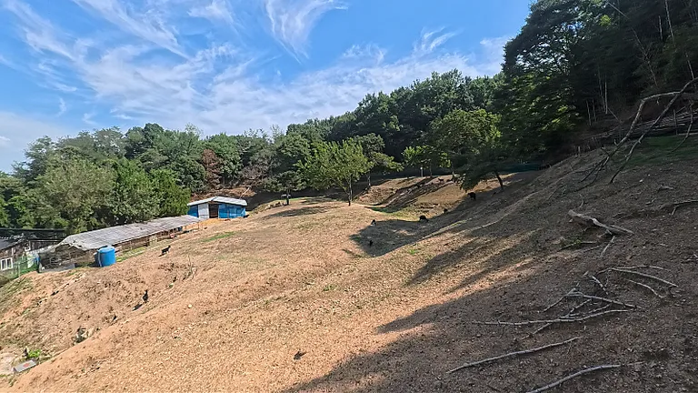전북 군산 대야면 숲속 부지 매매, 남향 4,497㎡ 매물 사진