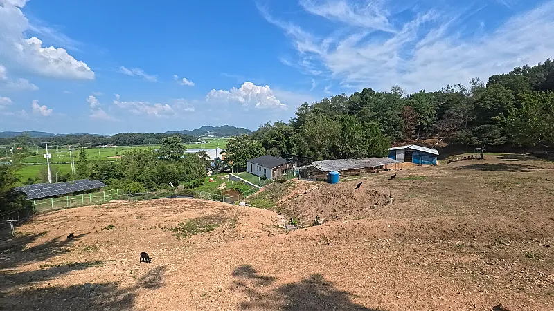 South-facing forest plot for sale in Daeya-myeon, Gunsan, Jeonbuk, 4,497㎡ photo 2