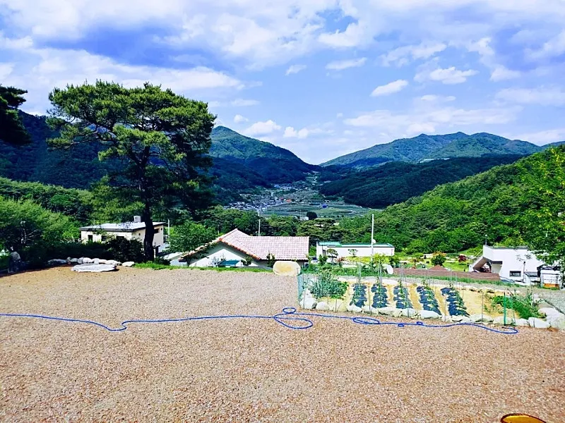 Land for Sale for a Country Home in Harim-ri, Yaro-myeon, Hapcheon-gun, Gyeongsangnam-do, with Pine Trees and a View photo 3