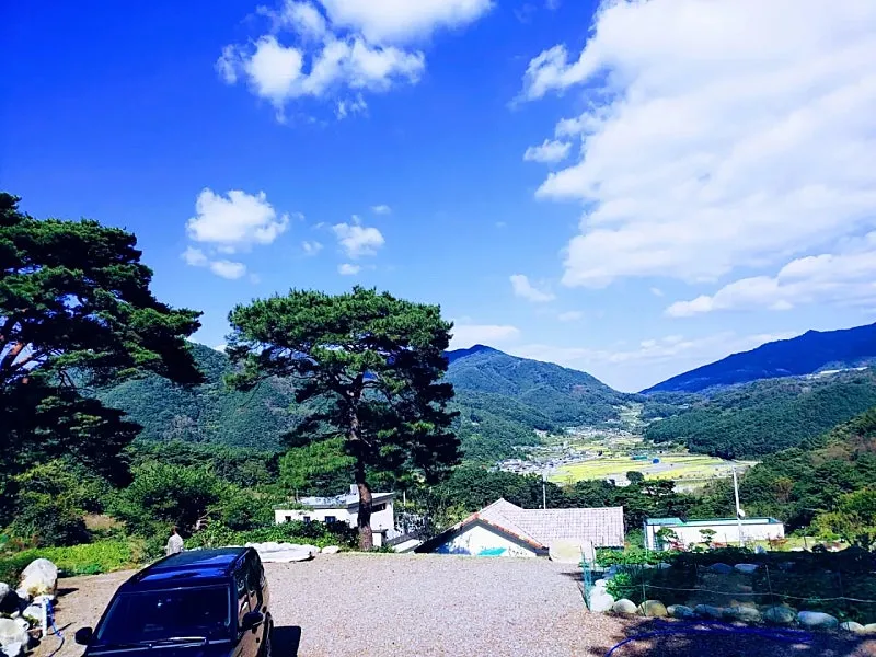 Land for Sale for a Country Home in Harim-ri, Yaro-myeon, Hapcheon-gun, Gyeongsangnam-do, with Pine Trees and a View photo 2