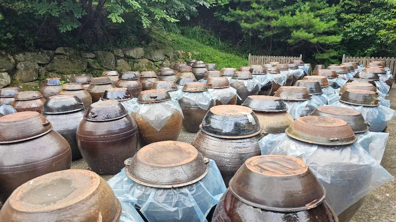 A Jang-Ryu Paste Factory Surrounded by an Old Pine Forest in Hamyang County for Sale. It Is Within 5 Minutes of a Highway IC and TG and Is Surrounded by Forested Land with Scenic Old Pine Trees. This! photo 2