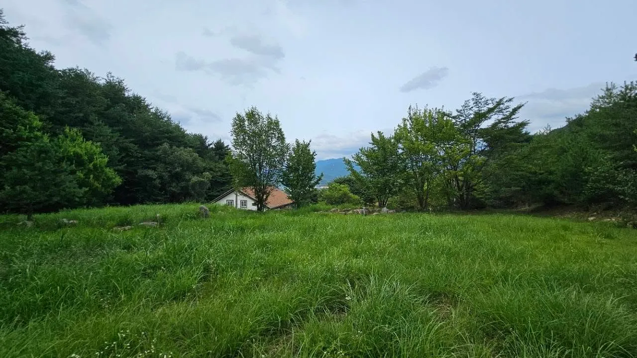 A Jang-Ryu Paste Factory Surrounded by an Old Pine Forest in Hamyang County for Sale. It Is Within 5 Minutes of a Highway IC and TG and Is Surrounded by Forested Land with Scenic Old Pine Trees. This! photo 5