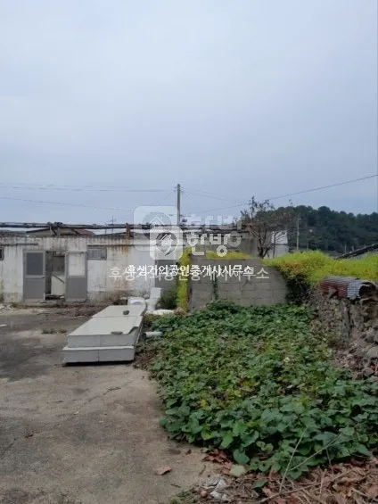 Farmhouse for Sale in Woljeong-ri, Namyang-myeon, Goheung-gun, Jeollanam-do; 489㎡ Lot · Renovation Needed photo 4