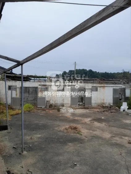 Farmhouse for Sale in Woljeong-ri, Namyang-myeon, Goheung-gun, Jeollanam-do; 489㎡ Lot · Renovation Needed photo 5