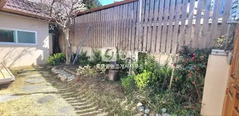 Single-Story Detached House for Sale in Sotae-dong, Dong-gu, Jeonnam-Gwangju Integrated Special City — Fully Remodeled, Move-In Ready photo 2