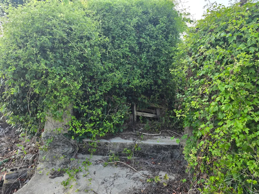 Farmhouse for Sale with Sea View in Hwayang-myeon, Yeosu, South Jeolla Province photo 5