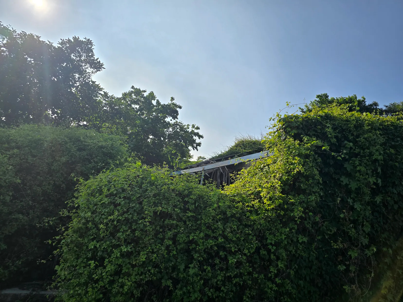 Farmhouse for Sale with Sea View in Hwayang-myeon, Yeosu, South Jeolla Province photo 3