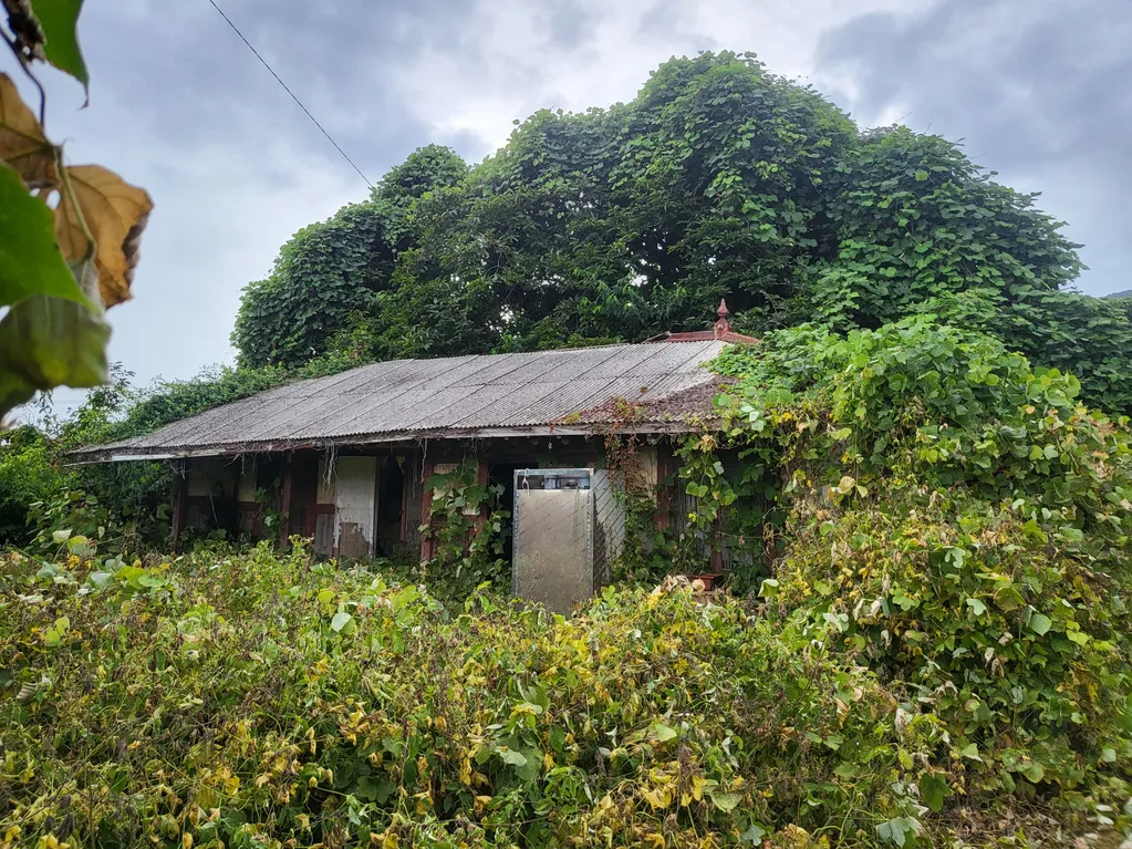 Old House with Sea View for Sale in Hwayang-myeon, Yeosu, Jeonnam; Demolition and New Construction Required photo 2
