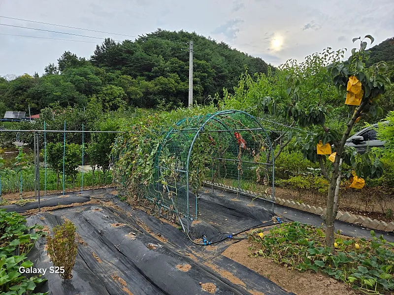 Small House for Sale in Sancheong, Gyeongnam — Price Reduced photo 8