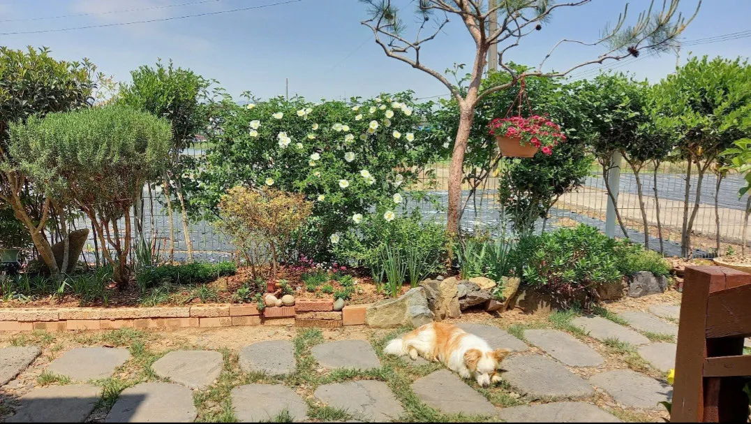 Detached Country Home for Sale in Gorye-myeon, Goseong, Gyeongsangnam-do, with Lake Views and Solar Panels photo 2