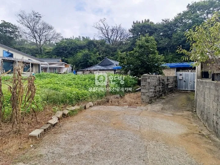 전남광주통합특별시 장흥군 안양면 바닷가 단독주택 매매, 토지 860㎡ 사진 10