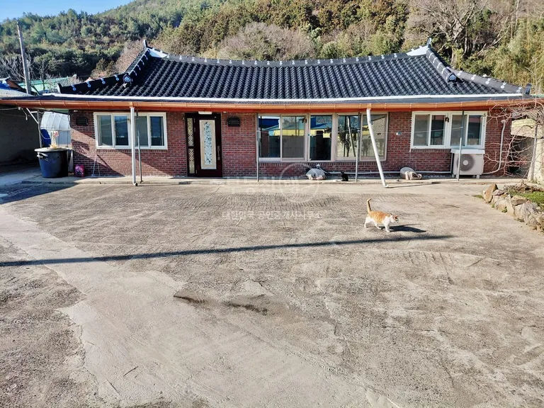 전남광주통합특별시 장흥 용산면, 넓은 마당과 리모델링 한옥 매매 매물 사진