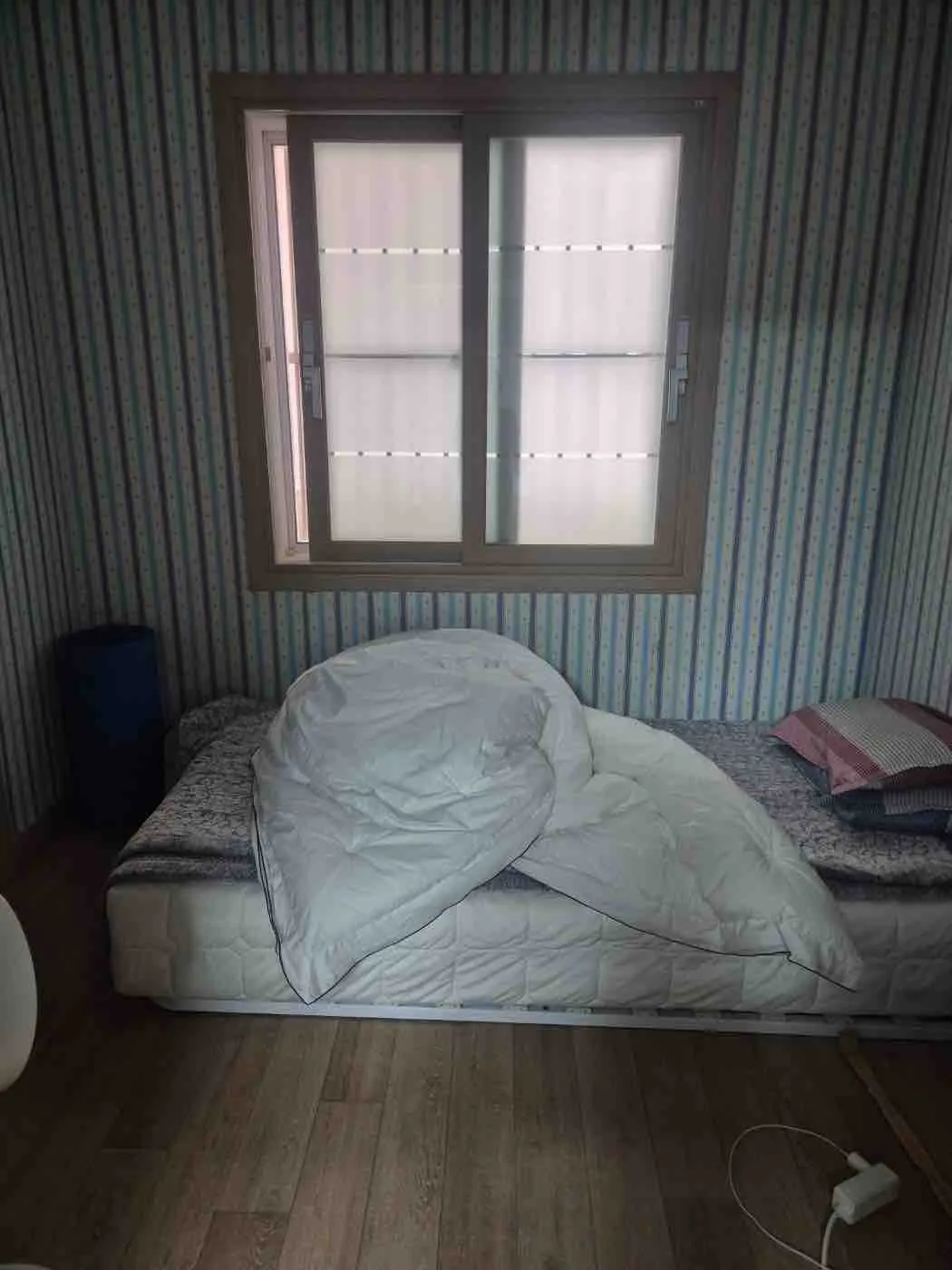 경북 포항 남구 대도동 마당·테라스 있는 단독주택 매매 사진 6