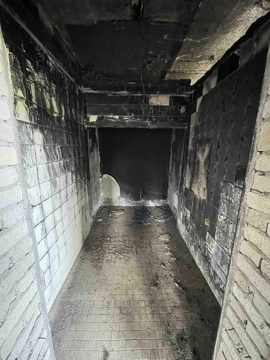 충청남도 예산군 예당지 상류 전원주택 매매, 텃밭·별채 보유 사진 8