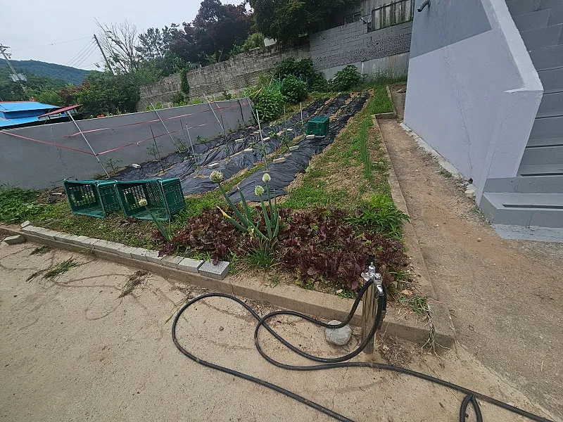 충청남도 공주 반포면 계룡산 조망 시골집 매매, 올 리모델링·텃밭 사진 9