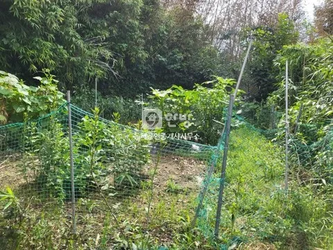 Single-Story Country Home with Solar Panels for Sale in Donghae-myeon, Nam-gu, Pohang, Gyeongbuk photo 3