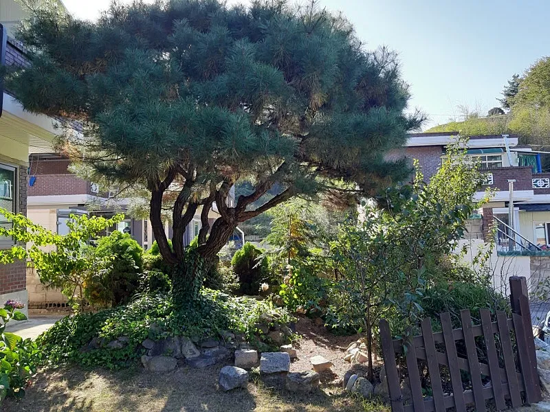 Two-Story Detached House for Sale in Yeongdong-eup, Yeongdong-gun, Chungcheongbuk-do, on a Lot of About 153 Pyeong photo 3