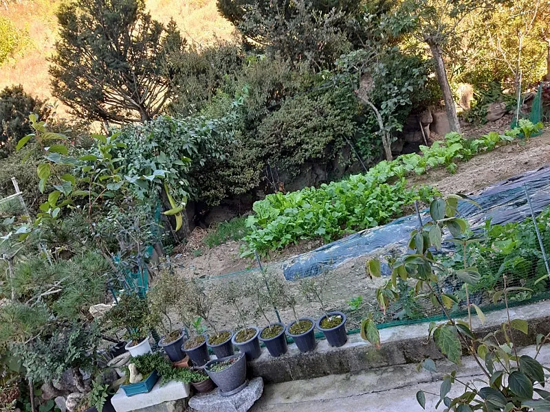 Two-Story Detached House for Sale in Yeongdong-eup, Yeongdong-gun, Chungcheongbuk-do, on a Lot of About 153 Pyeong photo 10