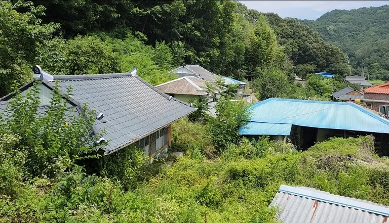 경남 합천 묘산면 주택 매매, 방 2개와 넓은 마당 매물 사진