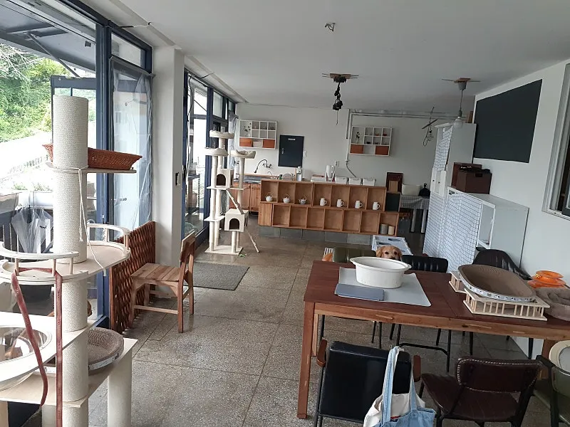 충남 보령시 웅천읍 시골마을 1층 상가 매매, 테라스 포함 약 30평 사진 4