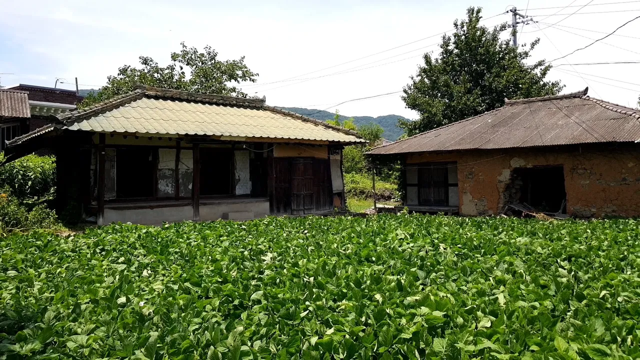 경상남도 합천 촌집 매매, 610㎡ 대지와 본채·아래채 사진 9