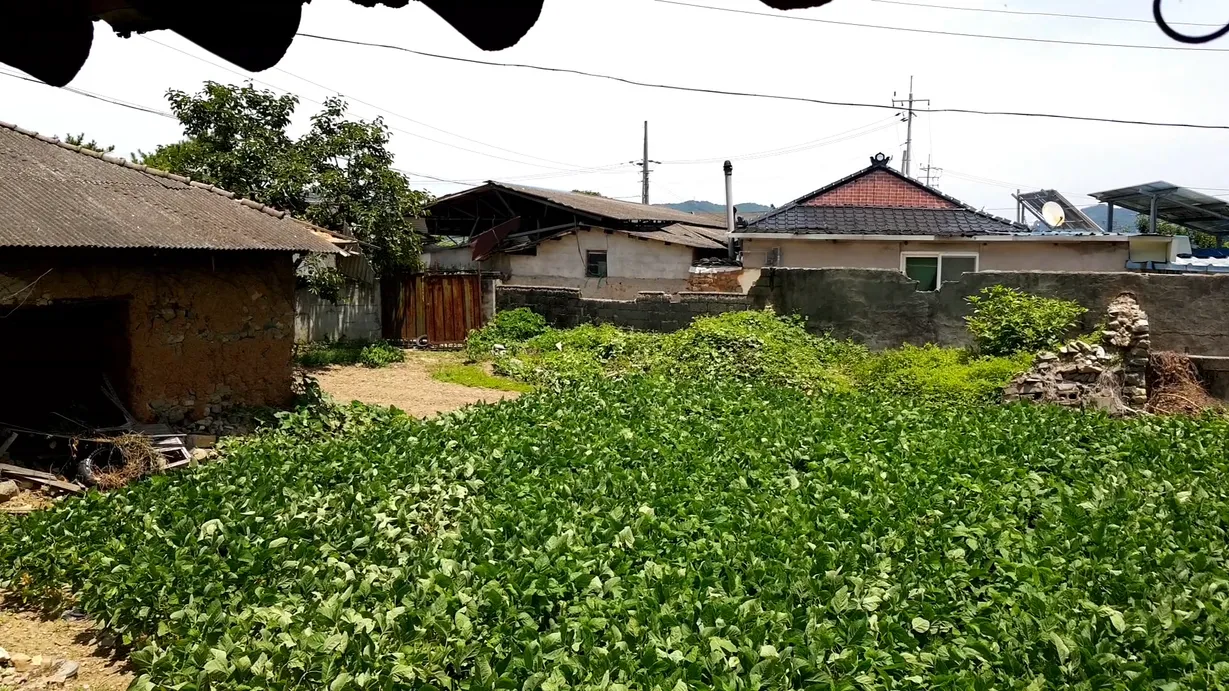 경상남도 합천 촌집 매매, 610㎡ 대지와 본채·아래채 사진 4