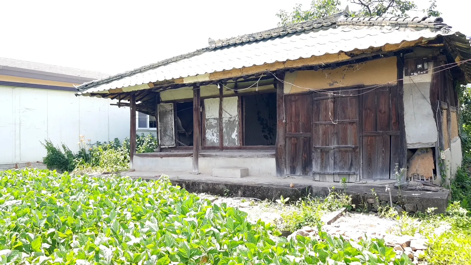 경상남도 합천 촌집 매매, 610㎡ 대지와 본채·아래채 사진 7
