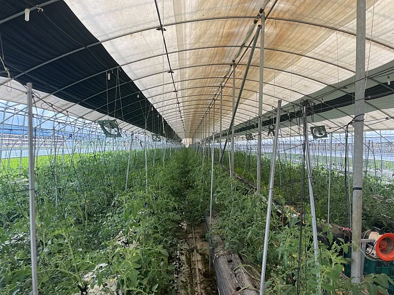 전남 곡성 스마트팜 매매 1억 9,500만 원, 시설하우스 2동·양액시설·농막 포함 사진 10