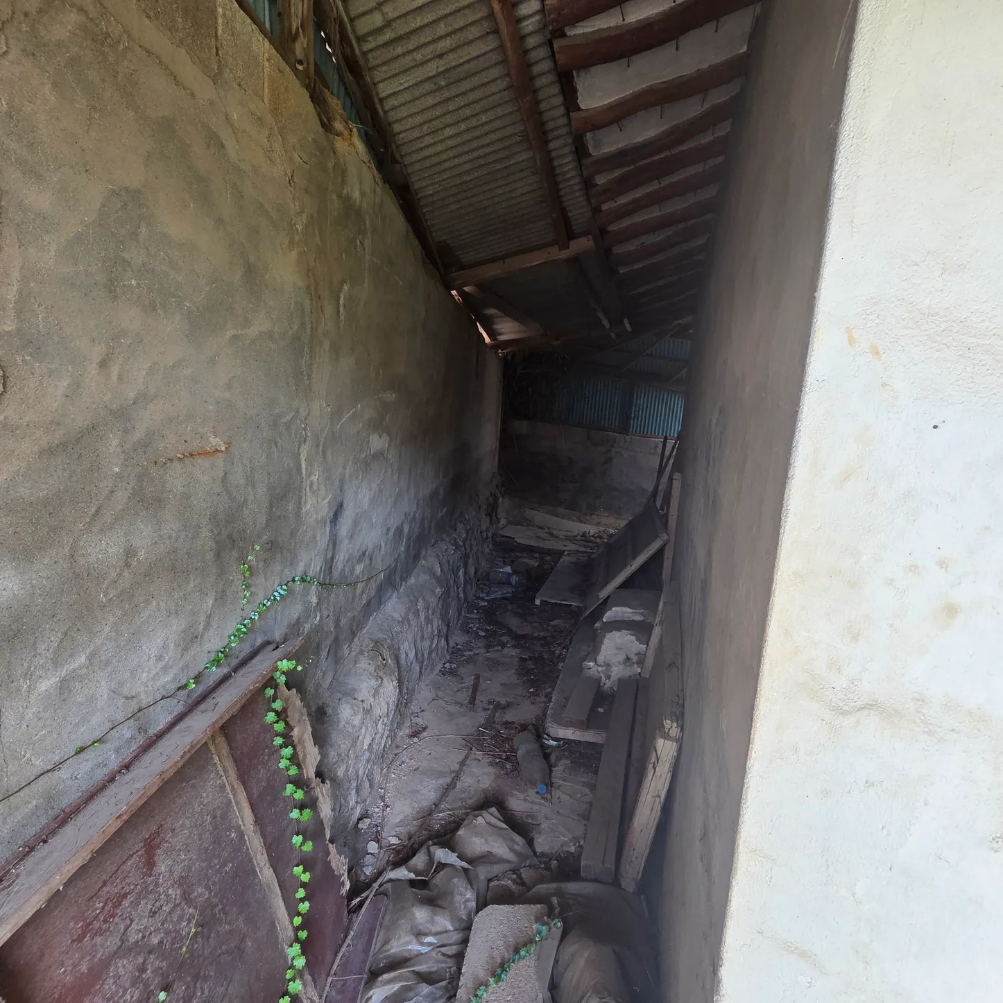 Farmhouse for Sale in Mongtan-myeon, Muan-gun, Jeonnam-Gwangju Integrated Special City; Interior Cleaning Completed photo 7