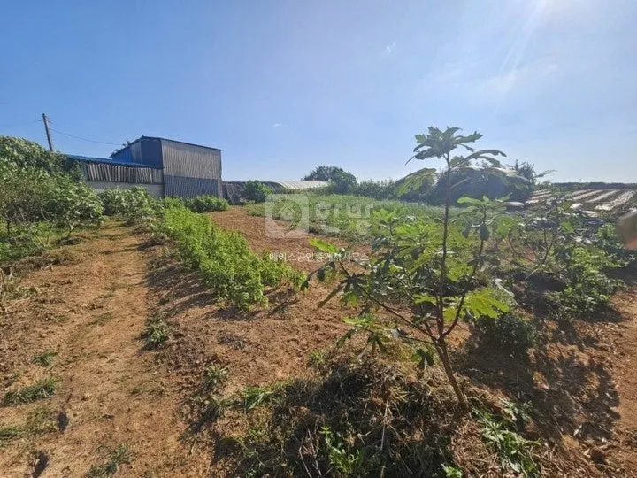 Remodeled Hanok for Sale in Sani-myeon, Haenam-gun, Jeonnam-Gwangju Integrated Special City, 1,501㎡ Lot photo 8