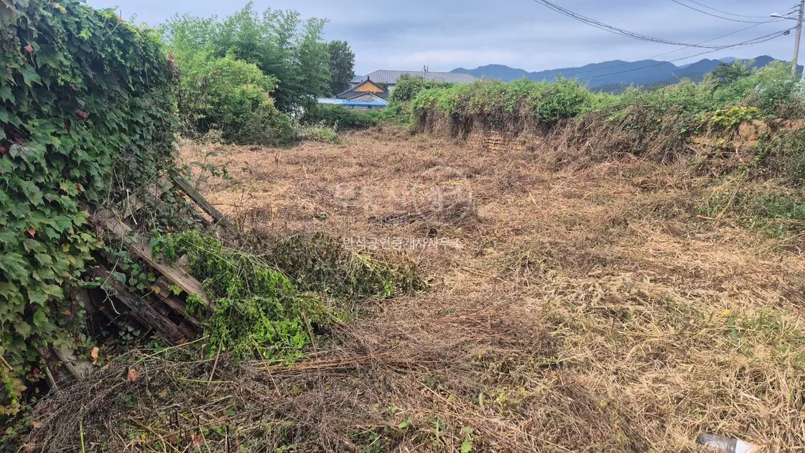 Rural Home for Sale in Gangjin, Jeonnam-Gwangju Integrated Special City, with Vegetable Garden and Two Adjacent Parcels photo 10