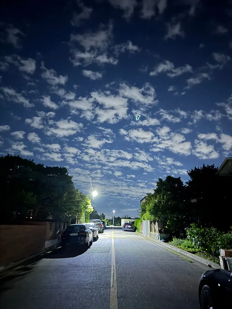 Country House for Sale in Tanhyeon-myeon, Paju: 98-Pyeong Lot and Third-Floor Rooftop photo 2