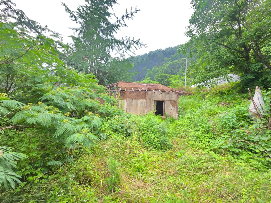 제천 금성면 산아래 주택 매매 사진 7