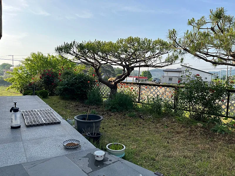 Jeonse Country House in Songak-eup, Dangjin-si, Chungcheongnam-do photo 3