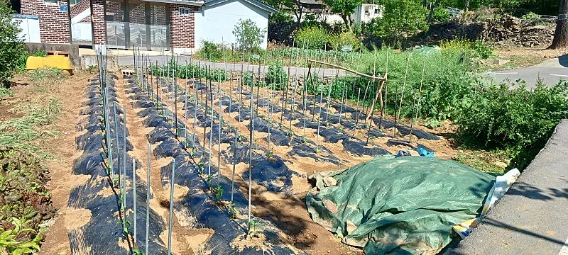 창녕 길곡면 상길 100년 고택 시골집 매매 사진 5