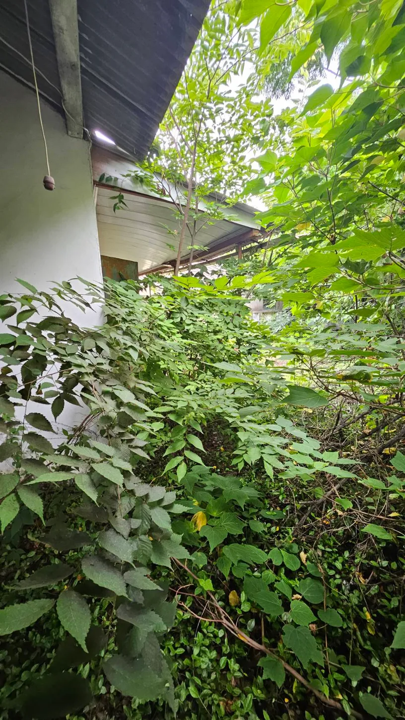 Rural Home for Sale in Daepo 4-gu, Sora-myeon, Yeosu photo 3
