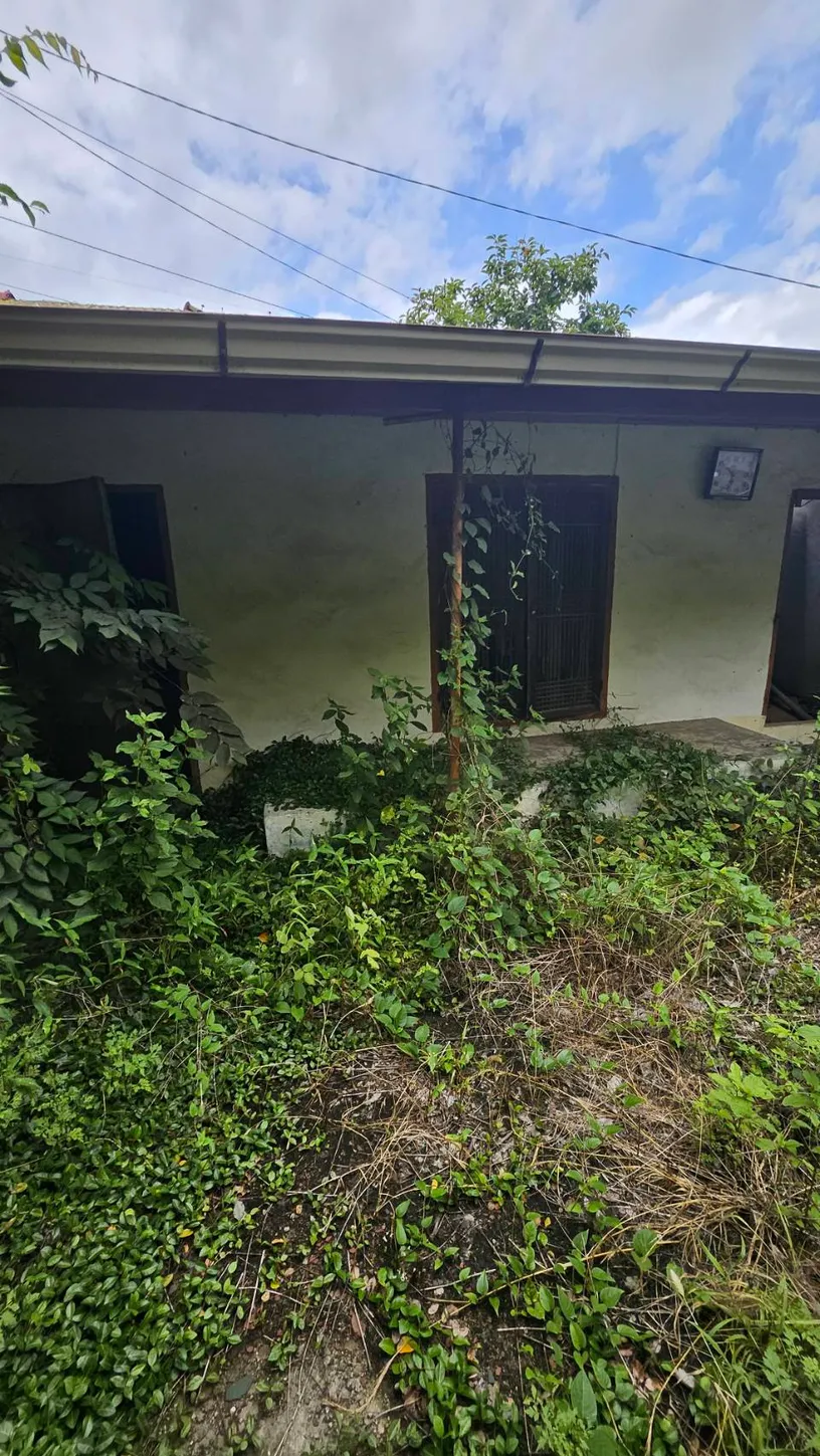 Rural Home for Sale in Daepo 4-gu, Sora-myeon, Yeosu photo 2