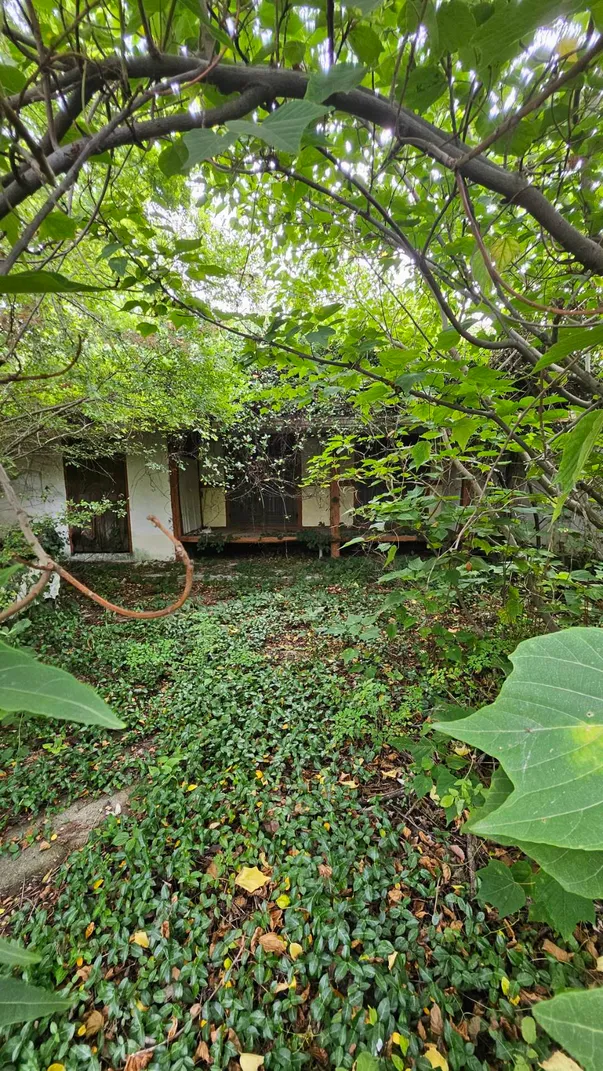 Rural Home for Sale in Daepo 4-gu, Sora-myeon, Yeosu photo 5