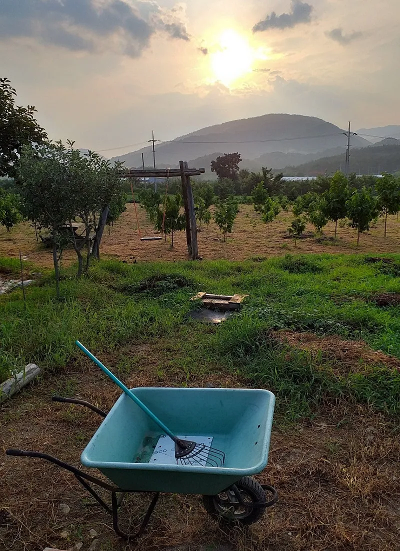 103-pyeong Country Home Site in Wachon-myeon, Gyeongsan photo 2