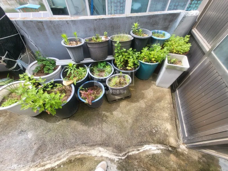 경상남도 통영 산양읍 영운리 바닷가 마을 리모델링 시골집 매매 사진 9