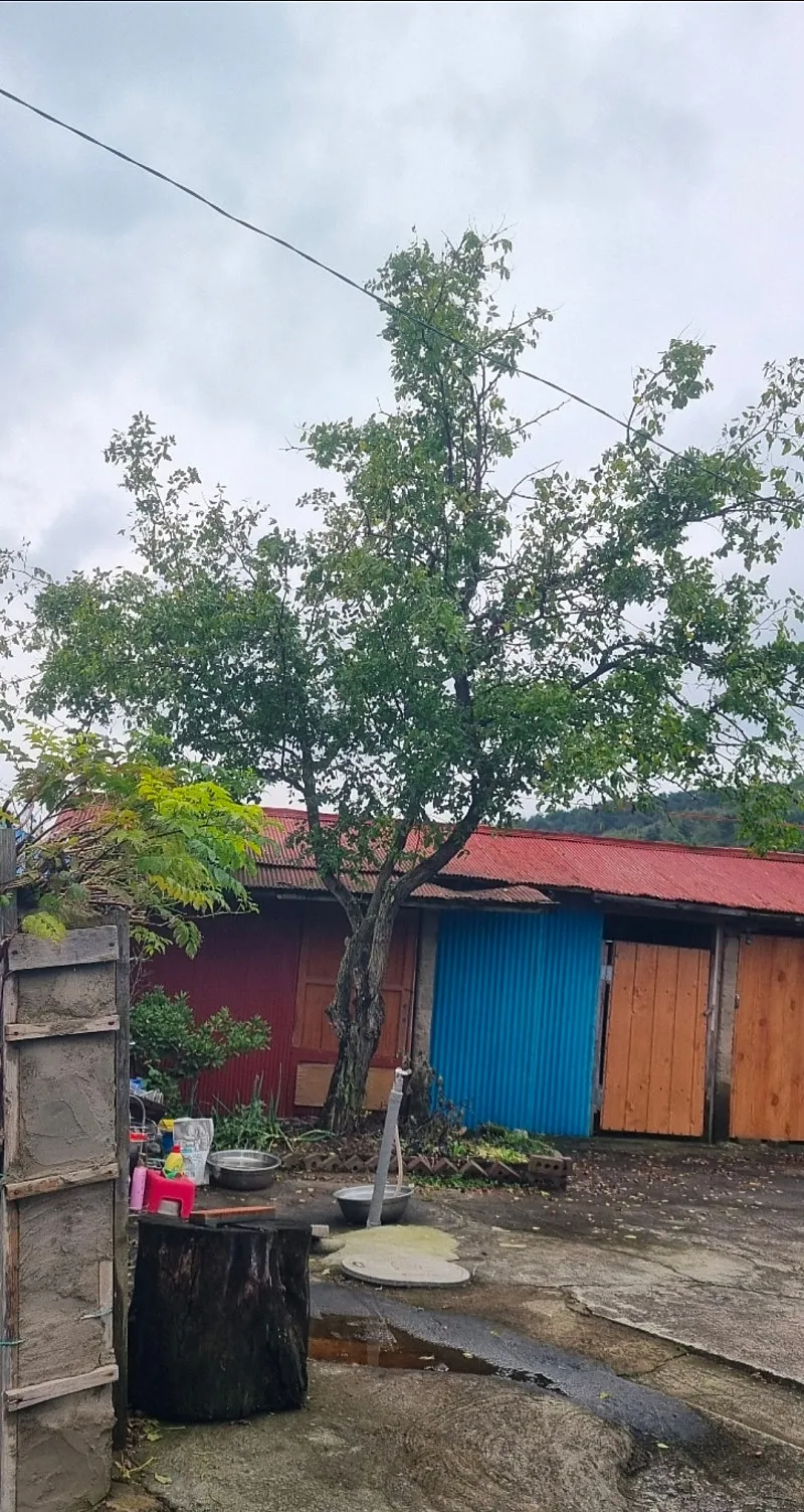 Rural House for Sale in Misan-myeon, Boryeong, Chungnam, with a Traditional Gudeul Room photo 8