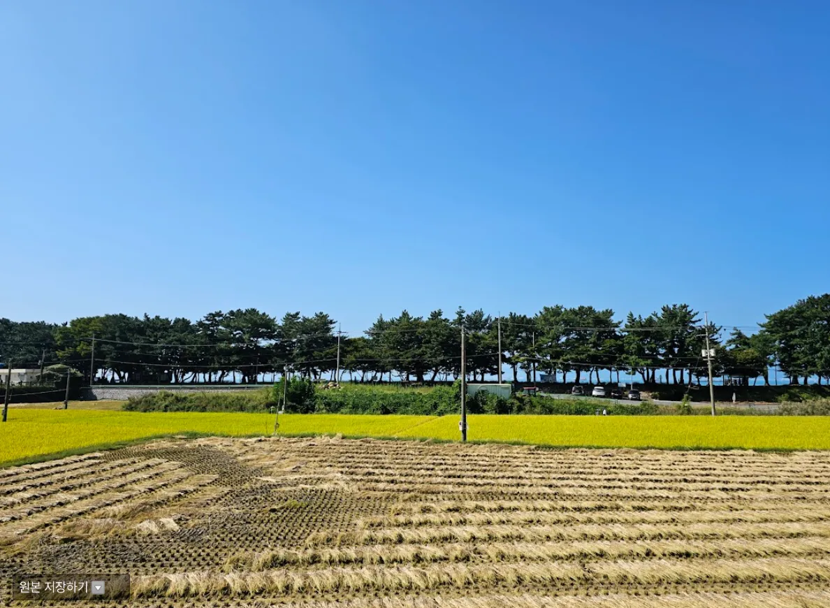 South-Facing Country House for Sale in Seomyeon, Namhae, 5 Minutes from the Sea, 777㎡ (235 Pyeong) Lot photo 4