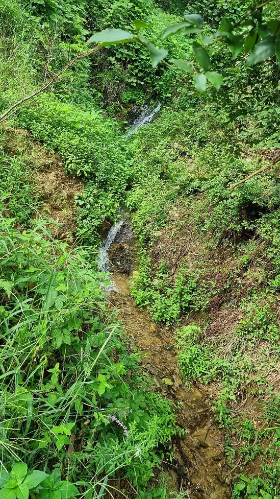 Country House for Sale in Bongnam-ri, Maseo-myeon, Seocheon-gun, Chungnam: Second Home in Nature, Ultra-Urgent Sale photo 5